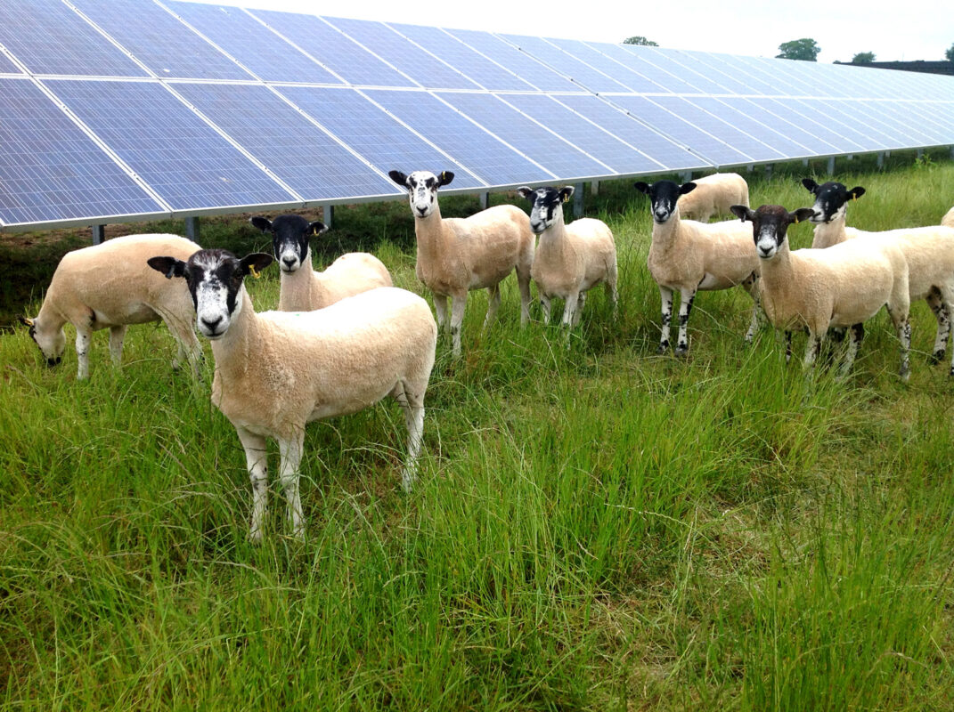 Broadgate solar farm devon