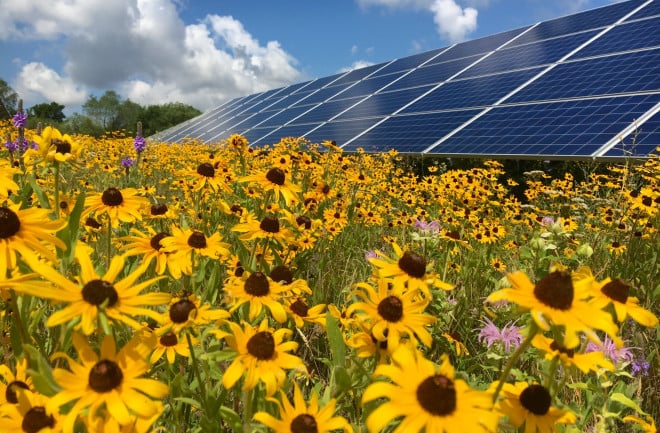 Statkraft and British Solar Renewables have also joined Solar Energy UK as sponsor members. Image: Solar Energy UK.