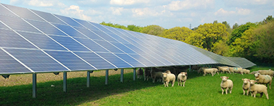 Image: British Solar Renewables.