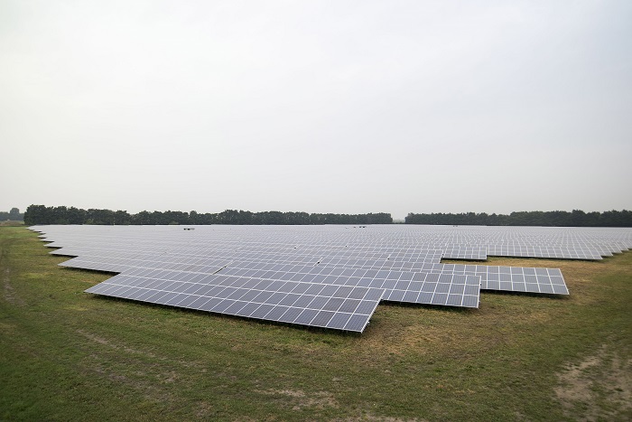 A solar farm based in West Suffolk