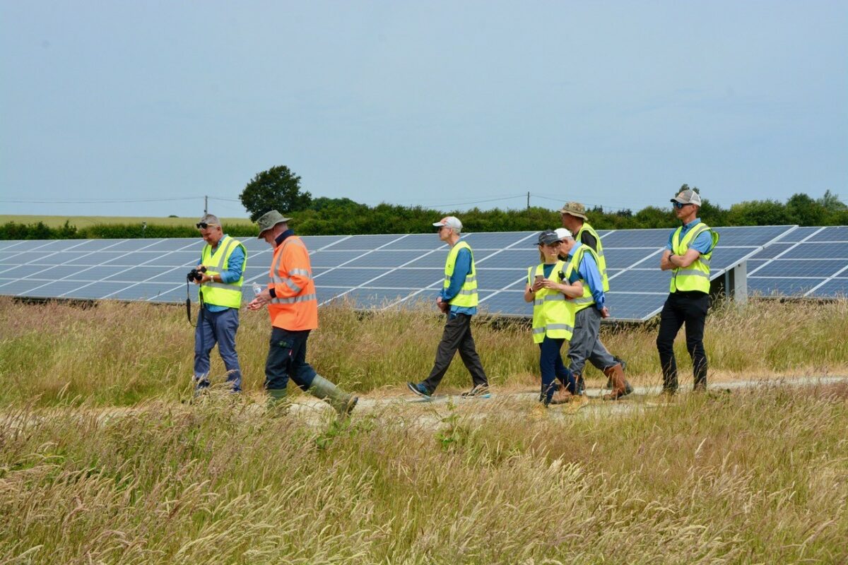 Orchard solar farm, Kent. Image. Community Energy Together