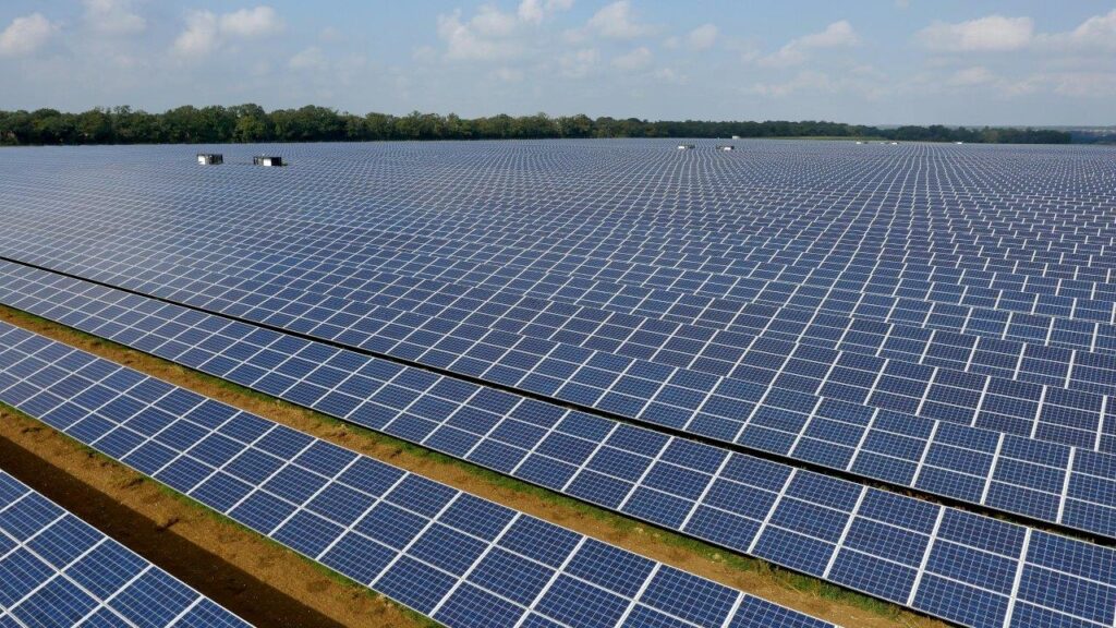 An image of the Lackford solar farm. Image: Low Carbon.