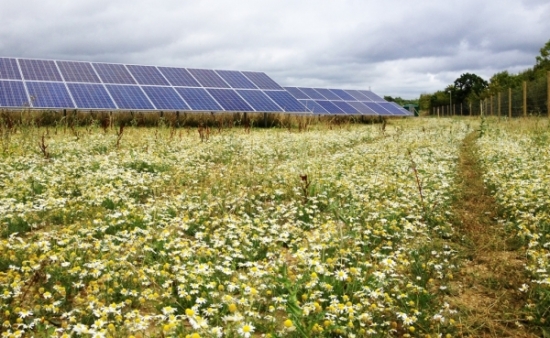 Lightsource Solar Farm