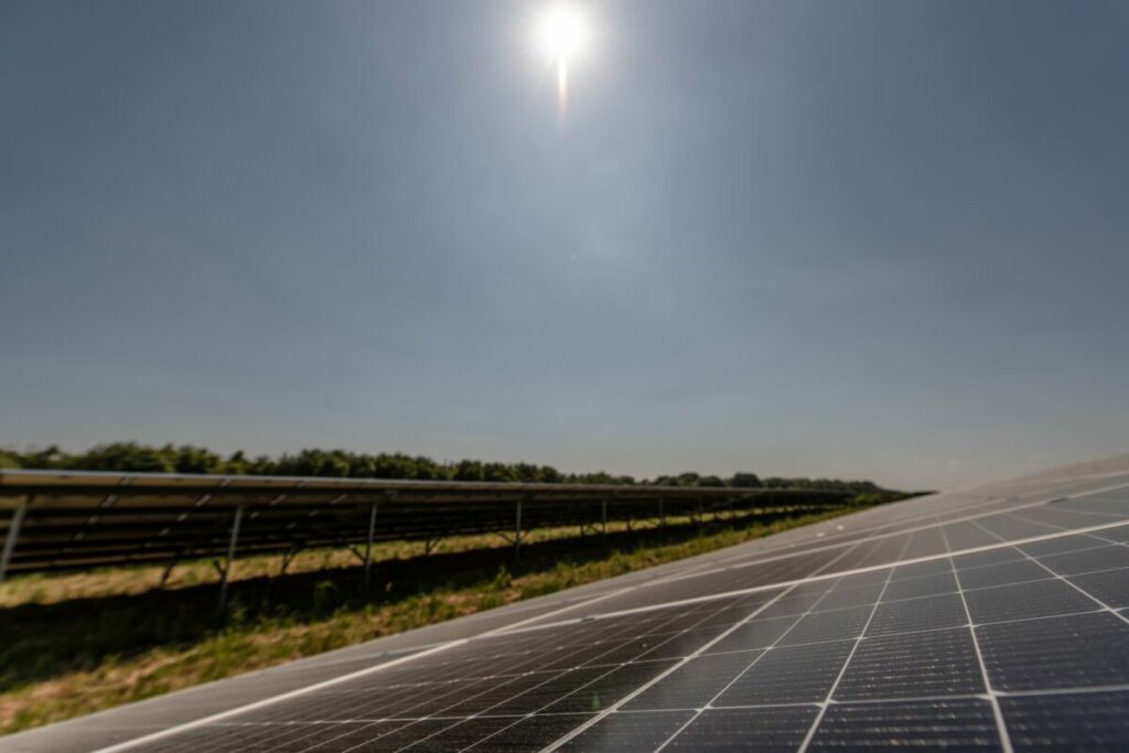 The two solar farms are located in Dorset and Wiltshire. Image: Centrica.