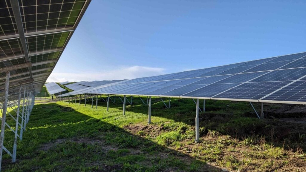 a close up of rows of solar PV panels
