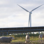 Renewable Connections bags consent for Yorkshire solar and storage project