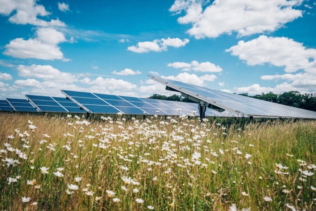 solar PV panels in a field