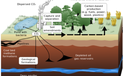 530px-Carbon_sequestration-2009-10-07.svg_