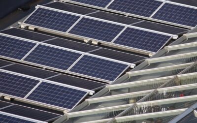 AMPYR Distributed Energy was launched by Singapore-headquartered AGP at the beginning of this year, with an initial capital commitment of up to £100 million. Image: AMPYR Distributed Energy.
