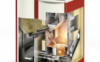 Biomass_Bioler