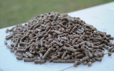 Biomass_Pellets_from_India_-_White_coal._