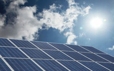 Bloys_Grove_stock_pic_-_credit_EDF_Renewables