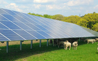 British_Solar_Renewables_solar_farm