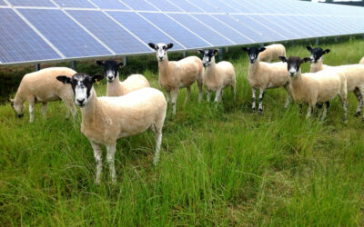 Broadgate-Solar-Farm-Devon