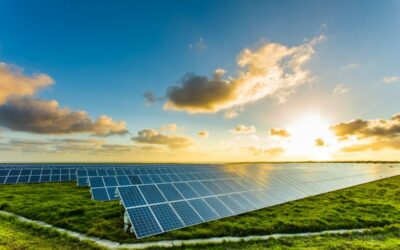 EDF Renewables' Cadenham solar site. Image: EDF Renewables.