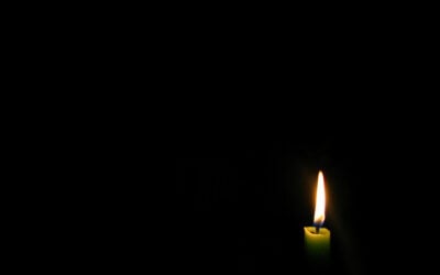 Candle_Light_-_RedEyedRex