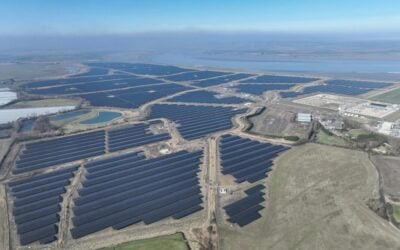 Rosalind can speak to the key driving factors behind the successful financing of the UK’s Cleve Hill solar-plus-storage project, an important proof-of-concept for large-scale renewable projects in the UK. Image: Quinbrook Infrastructure Partners.
