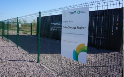 DM_Hall_British_Solar_Renewables_pic_3