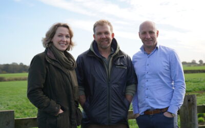 The flock will be managed by local farmers Phil Weaver (pictured, centre) and Pete Wilson and double as vegetation management. Image: Elements Green.