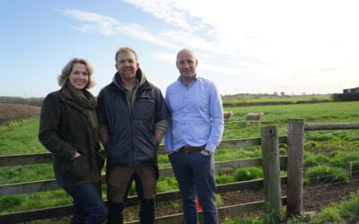 Great North Road is pegged to become “the UK’s largest solar farm” to incorporate grazing, with nearly 4,000 sheep expected to manage vegetation across the park once it becomes operational in 2027. Image: Elements Green.