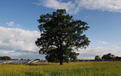 The guide uses the Forest Gate solar PV plant developed by Eden Renewables, a 49.9MW solar and BESS project in North Wiltshire, which will be up to 20% community-owned as a case study. Image: Eden Renewables.