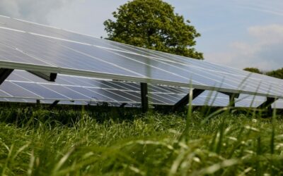Elgin_Wales_solar_site_ground_-_Credit_David_Meehan_Elgin_Energy.