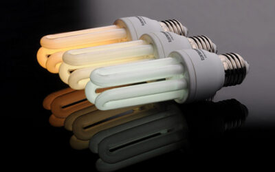 Energy_Efficient_Bulbs