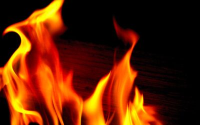 Fire_-_Liz_West