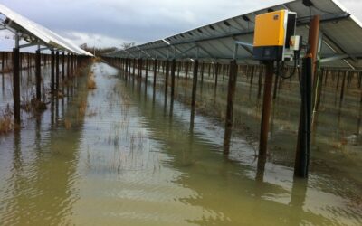 Flooded_solar_farm_-_British_Solar_Renewables