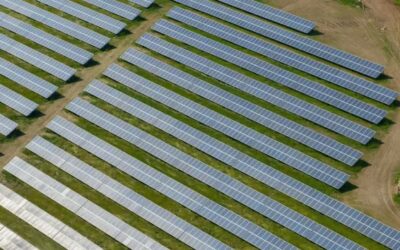 An image of the Fox Covert solar farm. Image: Low Carbon.