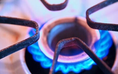 GAS2