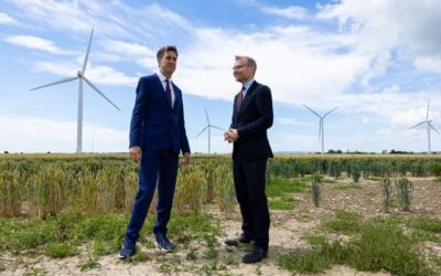 Solar Energy UK sets out to answer how the location of solar farms is chosen, how much disturbance to the land they cause and what evidence there is that they threaten national food security. Image: Michael Shanks via X.