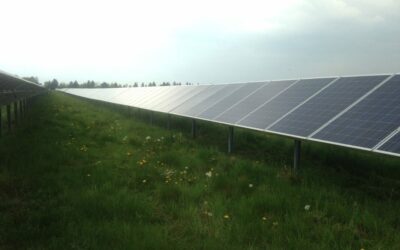 Generic_solar_-_solar_farm_green_grass