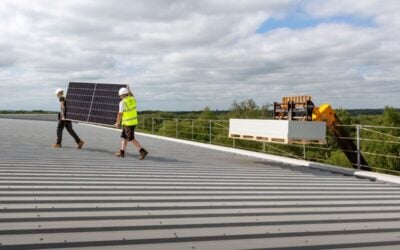 Absolar, which specialises in commercial solar installation, designed and fitted the panels around 700 skylights on the warehouse roof. Image: Absolar.