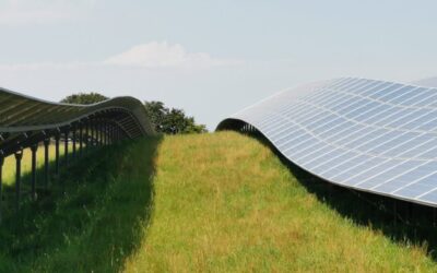 solar panels curve over a hill away from the camera