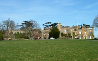 Knepp_Castle_-_Robin_Webster_Geograph.co_.uk_