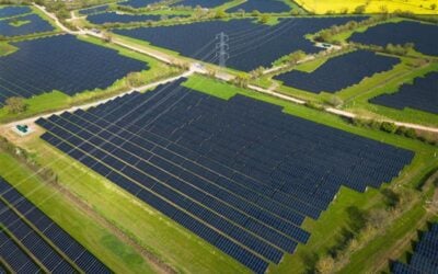 a solar farm from above