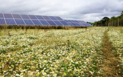 Lightsource Solar Farm