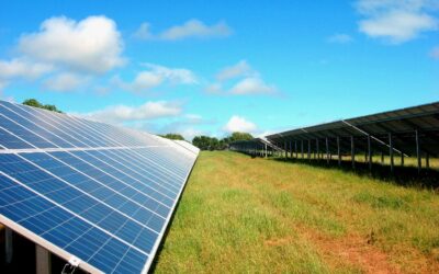 Lightsource Solar Farm