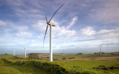 Llangwyryfon_renewable_energy_park_-_credit_EDF_Renewables