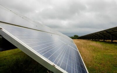 Longhedge_solar_farm_-_RES