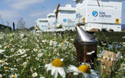 Bee hives with the low carbon logo