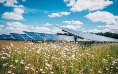 solar PV panels in a field