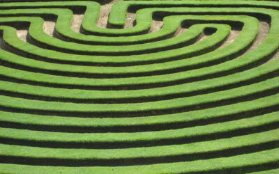 Maze_-_Image_credit_MeCookie