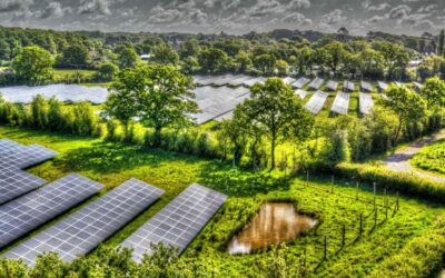 NESF_Solar_Farm_2019_-_NESF