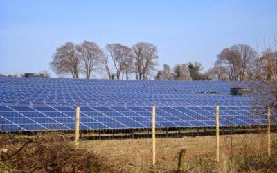 ODPE_solar_farm