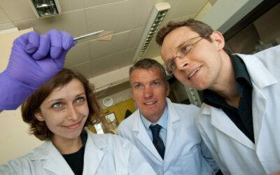 Organic_solar_cell_-_Warwick_University
