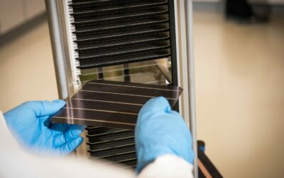 Oxford_PV_full_sized_perovskite-silicon_solar_cells_image_Oxford_PV