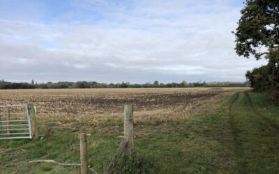 Bournemouth, Christchurch and Poole (BCP) Council planners approved the 66 hectare Parley Court Solar Farm site, representing a major milestone for Enviromena. Image: Enviromena.