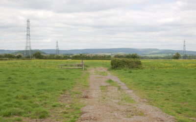 Powerlines_on_the_Gwent_Levels_-_credit_Roger_Davies_geograph.org.uk